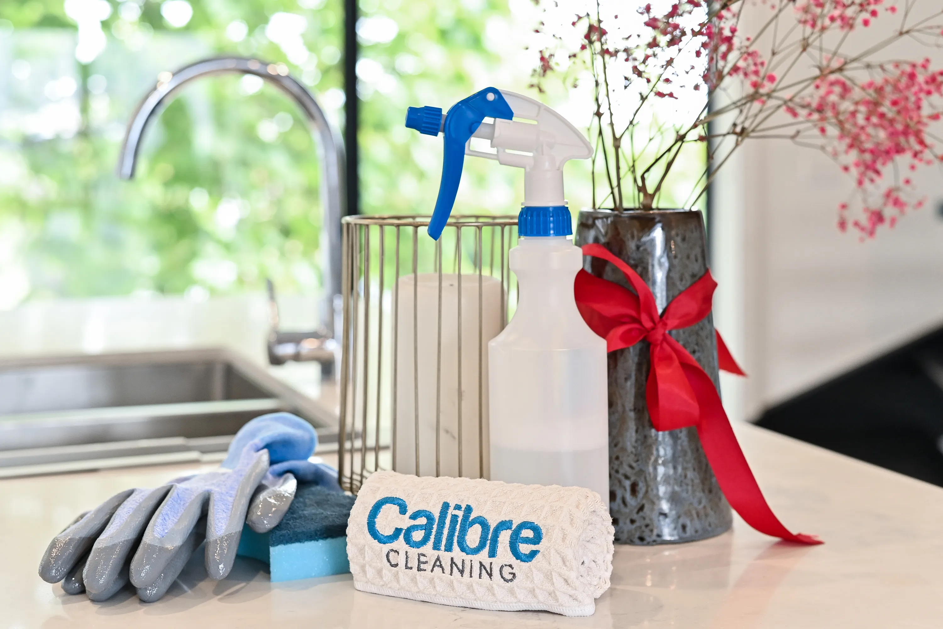 Professional cleaning team working in Melbourne