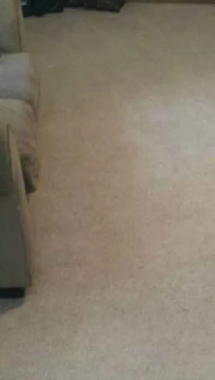 Laundry room after cleaning - clean appliances and organised space