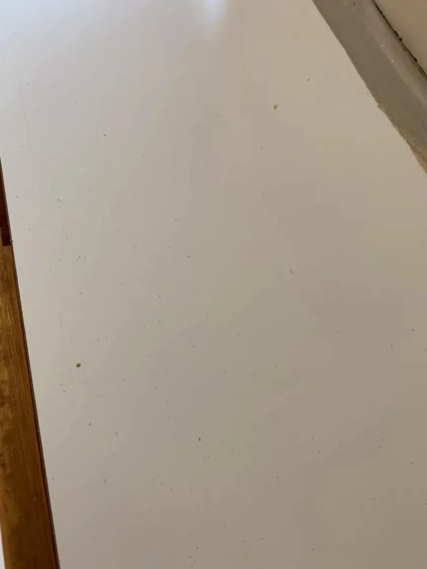 Beautifully cleaned living room with organised furniture