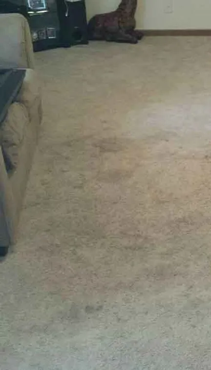 Laundry room before cleaning - dirty appliances and surfaces