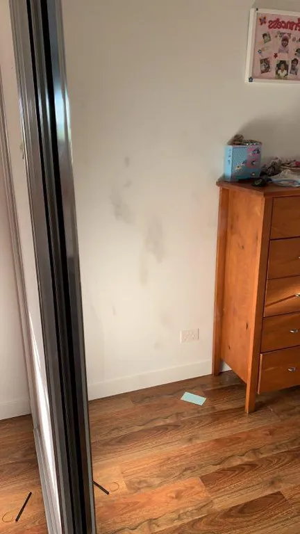 Laundry room before cleaning - dirty appliances and surfaces